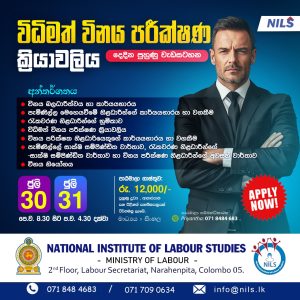The Influence of Judicial Decisions in Interpreting Labour Law